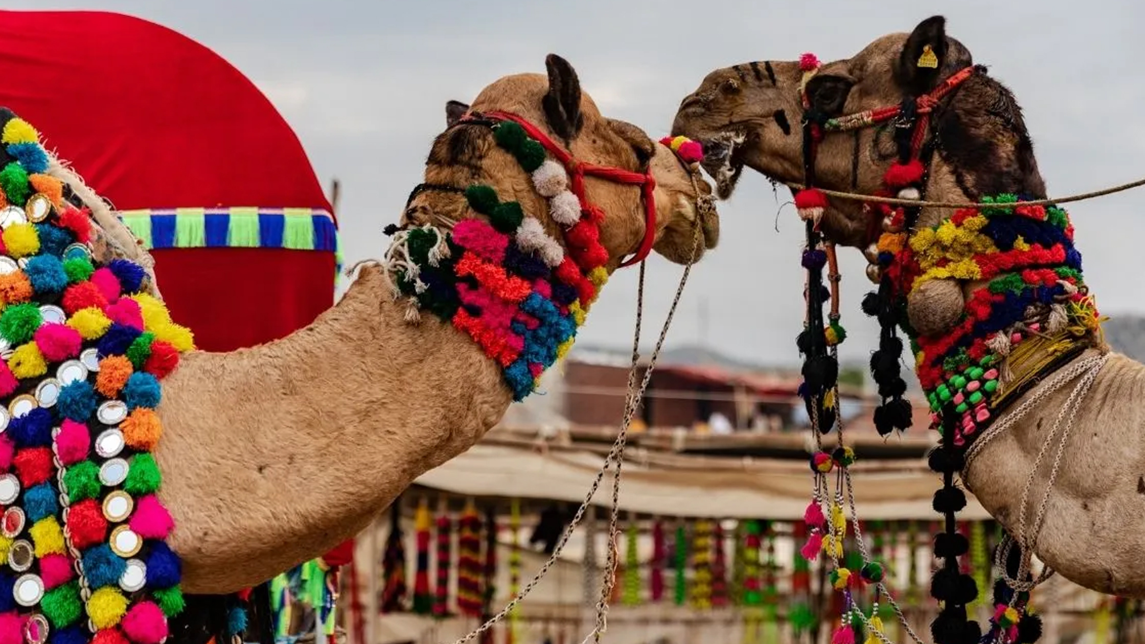 India cultural journey